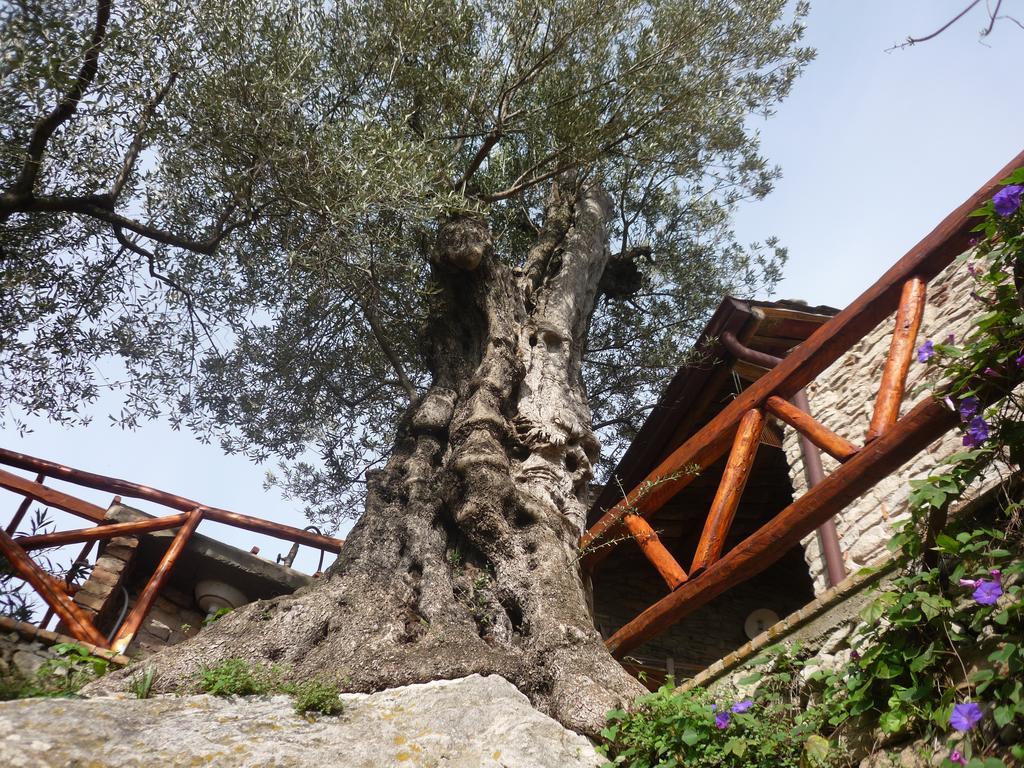 Rocca Del Vento Acomodação com café da manhã San Pantaleone Exterior foto