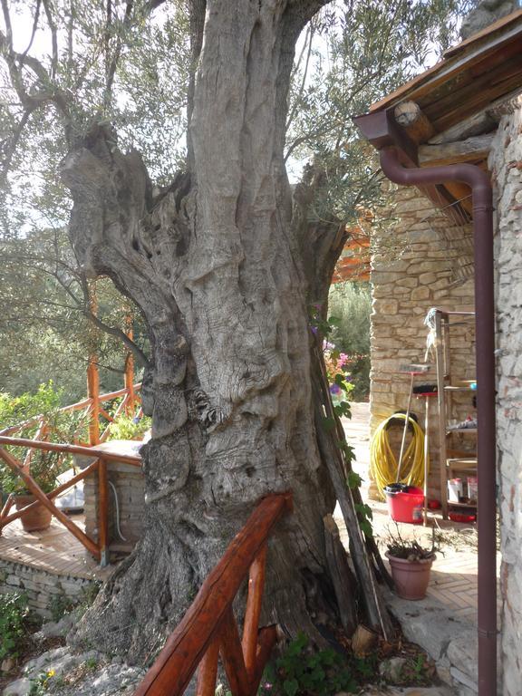 Rocca Del Vento Acomodação com café da manhã San Pantaleone Exterior foto